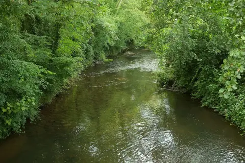 Photo of the River Axe, a 22-mile river running from Beaminster Down to Seaton, south west England.