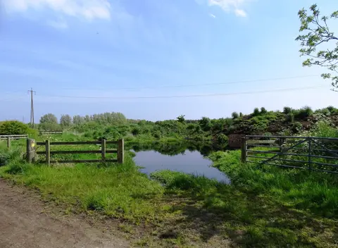 Photo of Rising Sun Country Park, a country park near Newcastle upon Tyne, Tyne and Wear, north east England.