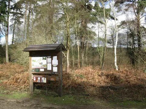 Photo of Witley and Milford Commons, a country estate near Thursley, Surrey, south east England.