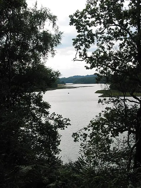 Photo of the coast at Hamble River, Hampshire, south east England.