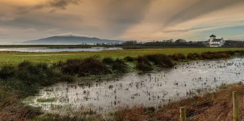 Photo of WWT Caerlaverock, a nature reserve near New Abbey in the Nith Estuary, Dumfries and Galloway, southern Scotland.