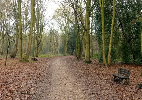 Photo of Rufford Country Park, a country park near Wellow, Nottinghamshire, central England.