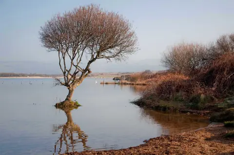 Photo of Kenfig National Nature Reserve, a nature reserve near Merthyr Mawr, Bridgend, south east Wales.