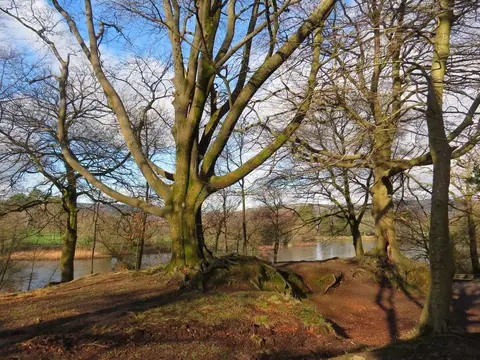 Photo of Gnoll Estate Country Park, a garden in Neath Port Talbot, south west Wales.
