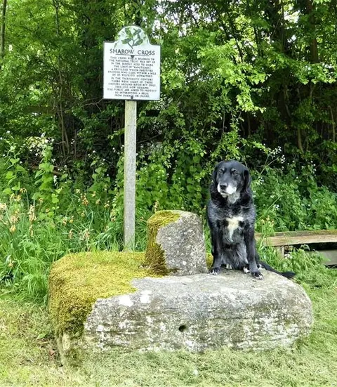 Photo of Sharow Cross, Ripon, an ancient site in North Yorkshire, northern England.