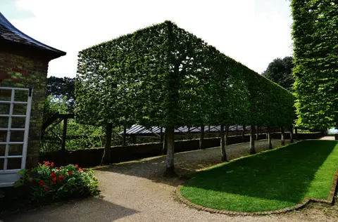 Photo of Hidcote Manor Garden, a Grade I registered house & garden near Ebrington in the Cotswolds, Gloucestershire, south west England.