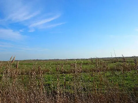 Photo of Pevensey Levels, a National Nature Reserve in East Sussex, south east England.