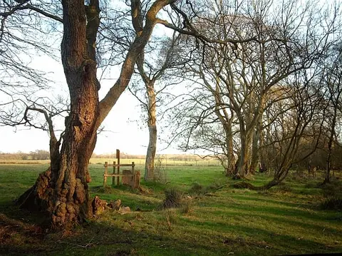 Photo of Finglandrigg Woods, a National Nature Reserve near Gretna Green, Cumbria, north west England.
