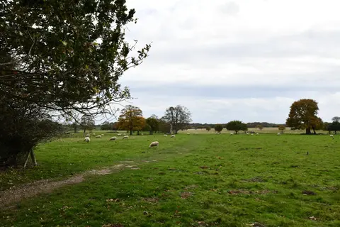 Photo of Felbrigg Hall, a Grade II* registered house & garden near Cromer, Norfolk, eastern England.