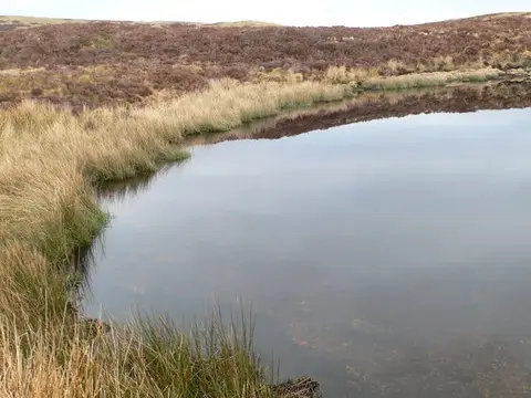 Photo of Llyn Conwy, a lake near Penmachno in Eryri, Conwy, north Wales.