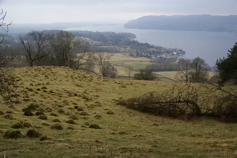 Photo of Stagshaw Garden and Ambleside, a house & garden in the Lake District, Cumbria, north west England.