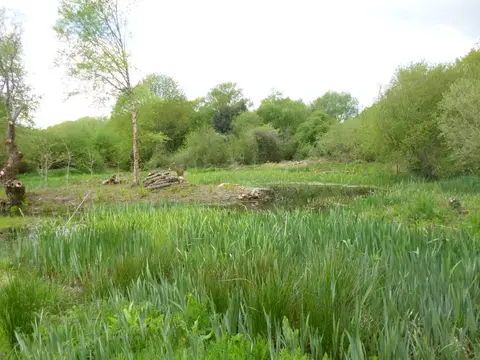 Photo of Holt Heath, a National Nature Reserve near Wimborne Minster, Dorset, south west England.