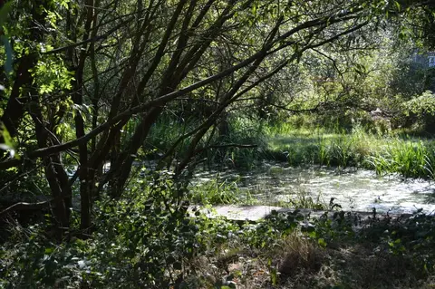 Photo of Stanmore Country Park, a country park near Watford, London, England.