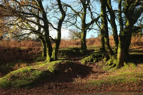 Photo of Leusdon Common, a Site of Special Scientific Interest near Buckland-in-the-Moor in Dartmoor, Devon, south west England.
