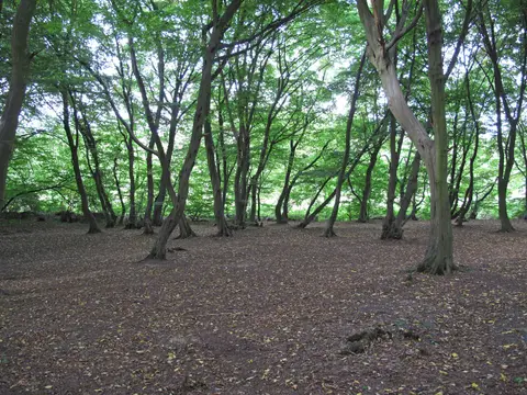 Photo of Flitch Way Country Park, a country park near Great Dunmow, Essex, eastern England.