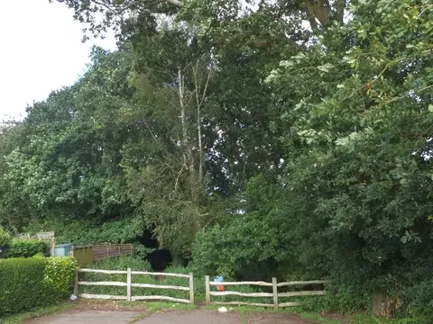Photo of Borthwood Copse, a nature reserve near Shanklin Old Village, the Isle of Wight, south east England.