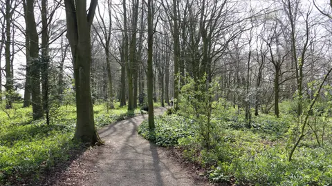 Photo of Rievaulx Terrace, a Grade I registered house & garden in the North York Moors, North Yorkshire, northern England.