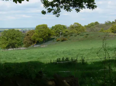 Photo of Jubilee Wood Country Park, a country park near Woodhouse Eaves, Leicestershire, central England.