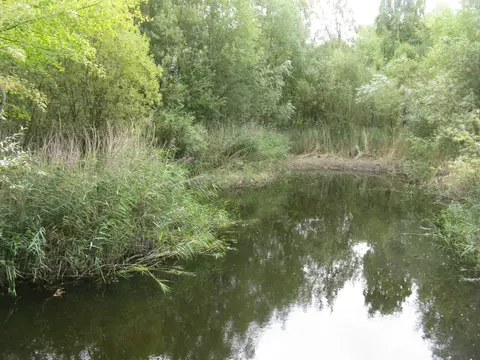 Photo of Harrold-Odell Country Park, a country park in Bedfordshire, eastern England.