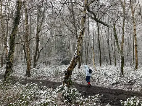 Photo of Petts Wood, a nature reserve near Shoreham, London, England.