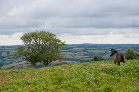 Photo of Exmoor, a National Park in south west England.