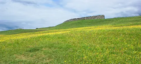 Photo of Upper Wharfedale, a country estate near Hubberholme in the Yorkshire Dales, North Yorkshire, northern England.