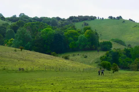 Photo along the Ridgeway, an 86-mile National Trail running from Avebury to Ivinghoe, England.