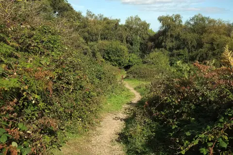 Photo along the Dartmoor Way, a 108-mile long-distance path in south west England.
