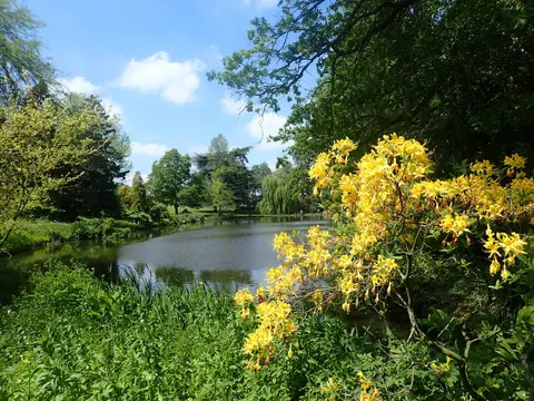 Photo of Mount Ephraim Gardens, a Grade II registered house & garden near Faversham, Kent, south east England.