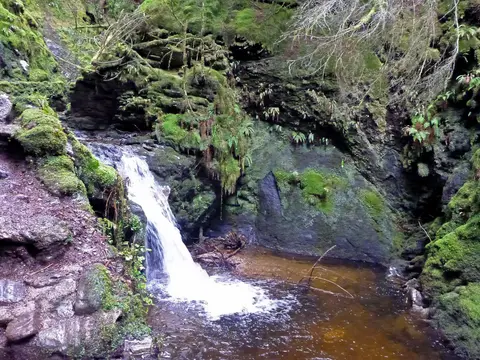 Photo of Puck's Glen, a visitor attraction near Kilmun in Loch Lomond & The Trossachs, Argyll and Bute, the Scottish Highlands and Islands.