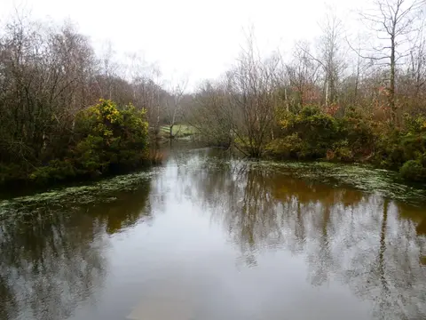 Photo of Shorne Wood Country Park, a country park near Rochester, Kent, south east England.