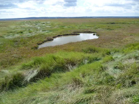 Photo of Leysdown Coastal Country Park, a country park near Whitstable, Kent, south east England.