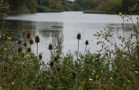 Photo of Leybourne Lakes Country Park, a country park near Aylesford, Kent, south east England.