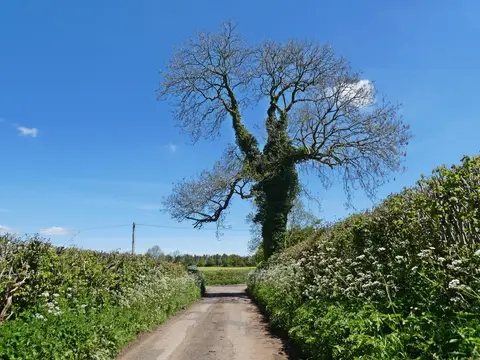 Photo of Kingdown and Middledown, a Site of Special Scientific Interest near Cheddar in the Mendip Hills, Somerset, south west England.