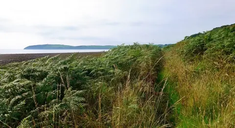 Photo along the Mull of Galloway Trail, a long-distance trail running from Mull of Galloway to Glenapp, southern Scotland.