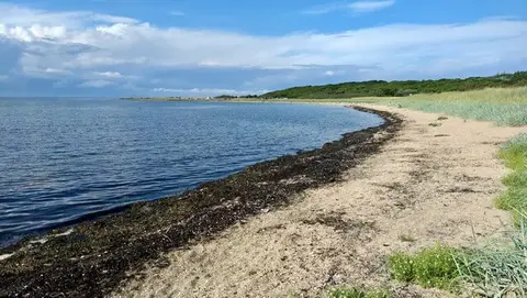 Photo of Longniddry Bents, a beach near Aberlady, East Lothian, central Scotland.