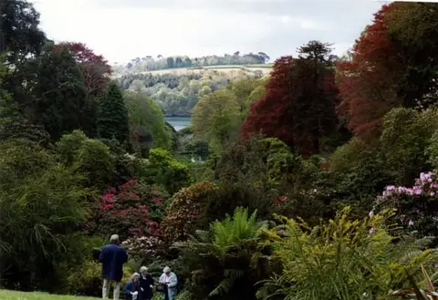Photo of Trebah Garden, a Grade II registered house & garden near Mawnan Smith, Cornwall, south west England.