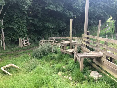 Photo along the Borders Abbeys Way, a long-distance trail in southern Scotland.