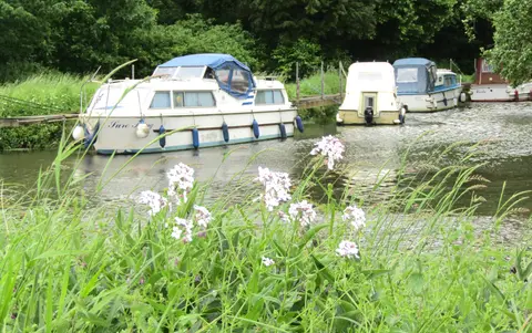 Photo of River Wey Navigations, a country estate near Wonersh, Surrey, south east England.