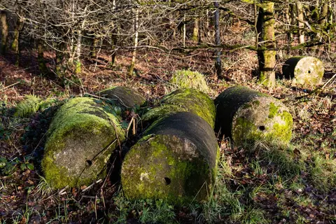 Photo of Prestwich Country Park, a country park near Worsley, Greater Manchester, north west England.