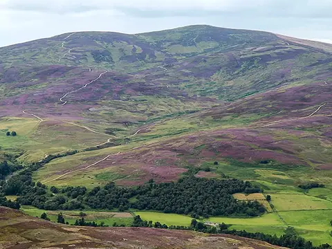 Photo: Mount Battock, a 778m mountain in Aberdeenshire, north east Scotland.