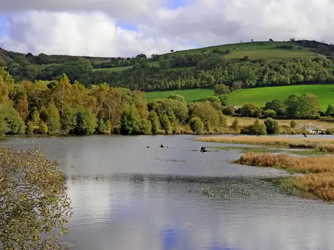 Photo of Cors Caron National Nature Reserve, a nature reserve near Pontrhydfendigaid, Ceredigion, mid Wales.