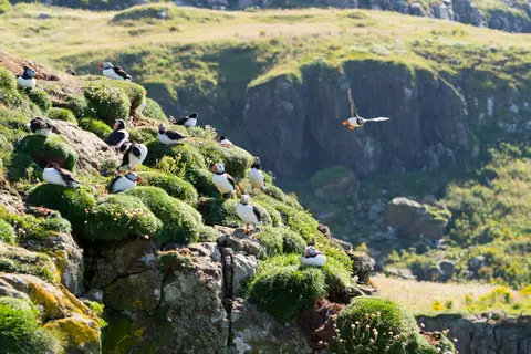 Photo of the Treshnish Isles, an island in Argyll and Bute, the Scottish Highlands and Islands.