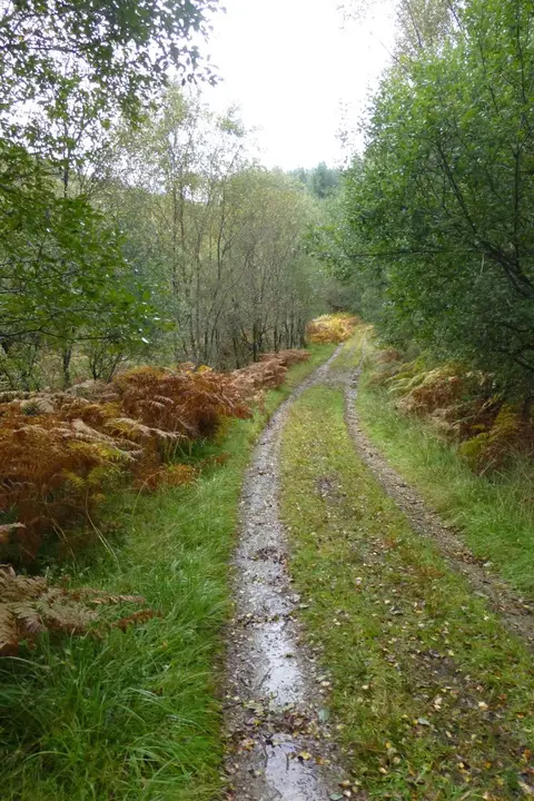 Photo along the West Island Way, a long-distance trail running from Kilchattan Bay to Port Bannatyne, the Scottish Highlands and Islands.