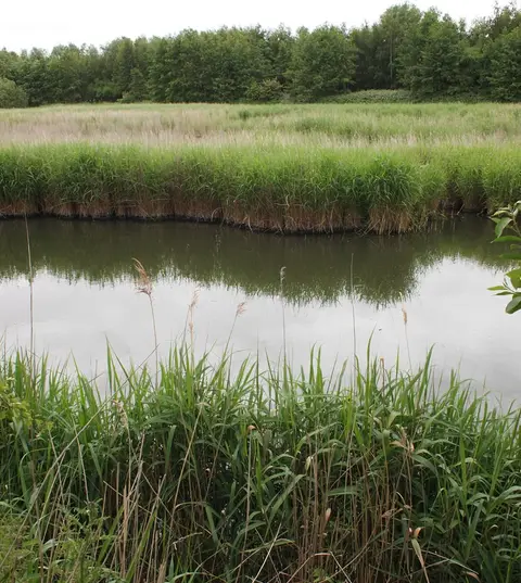 Photo of Waters Edge Country Park, a country park near Barton-upon-Humber, Lincolnshire, central England.