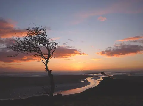 Photo: Jenny Brown's Point, a viewpoint near Silverdale in Arnside & Silverdale, Lancashire, north west England.