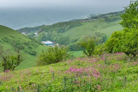 Photo: St Boniface Down, a 242m hill near Bonchurch, the Isle of Wight, south east England.