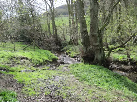 Photo of Farndale, a Site of Special Scientific Interest near Rosedale Abbey in the North York Moors, North Yorkshire, northern England.