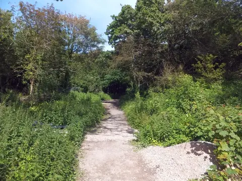 Photo of Fort Victoria Country Park, a country park near Yarmouth, the Isle of Wight, south east England.