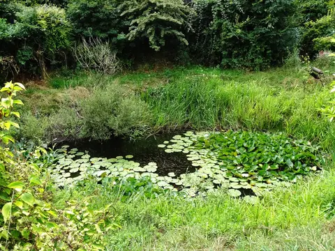 Photo of Keynes Country Park, a country park near Ashton Keynes, Gloucestershire, south west England.